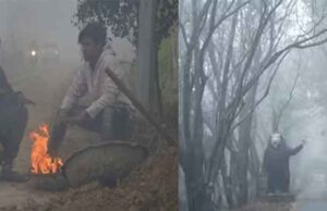 छत्तीसगढ़-गौरेला पेंड्रा मरवाही में घने कोहरे के कारण घटी विजिबिलिटी, वाहनों की थमी रफ्तार