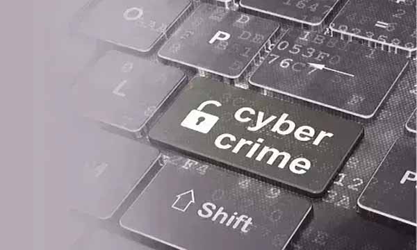 cyber_crime2.jpg