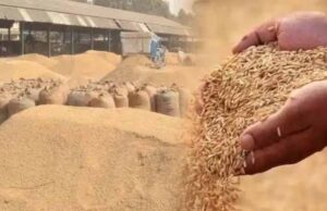 जिले में अब तक 182 उपार्जन केंद्रों के माध्यम से 54426 किसानों से 274341.76 टन धान खरीदा गया