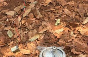 सुरक्षाबलों ने नक्सलियों की एक बड़ी साजिश को किया नाकाम, प्रेशर कुकर आईईडी बरामद