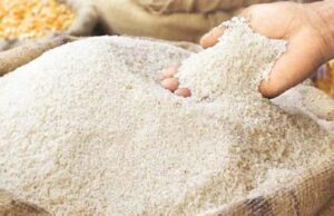 CG में चावल घोटाला छुपाने को कर रहे लेटलतीफी, तीन विभाग के अधिकारी करेंगे जांच, स्टॉक में गड़बड़ी तो होगी एफआईआर