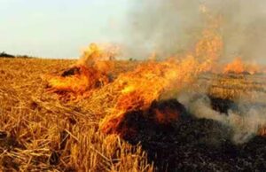 मध्य प्रदेश में किसानों पराली नहीं जलाई तो मिलेगा पैसा, मोहन सरकार की नई स्कीम