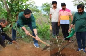 अपने गांव में किसान बने एकनाथ शिंदे, इस बार लगाया विदेशी पौधा, जानें इसके फायदे
