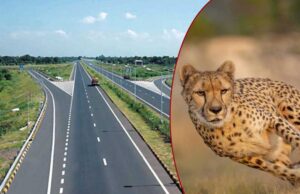 155 KM के नेशनल हाईवे के तीसरे हिस्से का काम की वाइल्डलाइफ कॉरिडोर की अनुमति अटकने नहीं मिलने से अटका