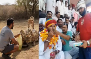 प्यासे चीतों को पानी पिलाने वाले सत्यनारायण गुर्जर को वापस मिली नौकरी, जानें क्यों कूनो प्रबंधन को बदलना पड़ा फैसला