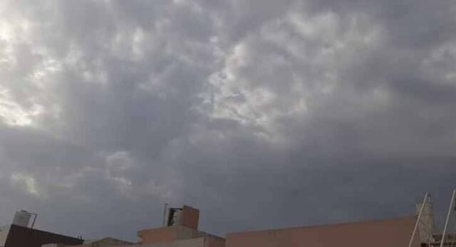 mosam-13.jpg