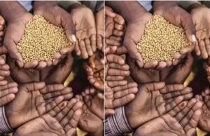 गुना जिले में 4989 मृतकों के नाम से हो रहा राशन जारी, महीने में 8.43 लाख रुपए चपत सरकार को लग रही