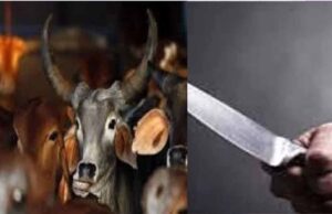 सतना में पेड़ में बांधकर गौवंश की निर्ममता से अंग-भंग कर हत्या कर दी, क्षेत्र में तनाव का माहौल