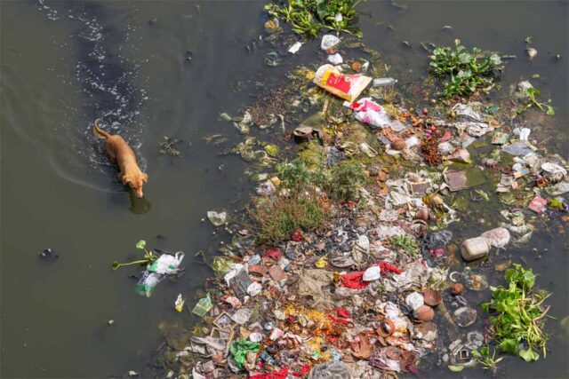 yamuna-1.jpg