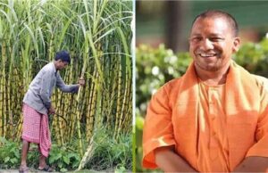 तैयार है योगी सरकार का मास्टरप्लान, UP के सभी 75 जिलों के 25 लाख किसानों की बदलेगी तकदीर!