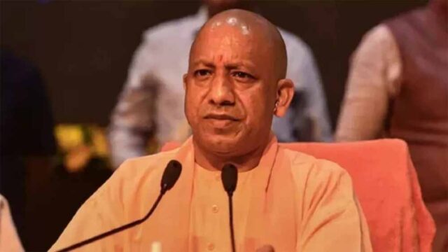 yogi-4.jpg