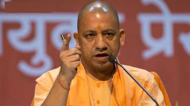 yogi01.jpg