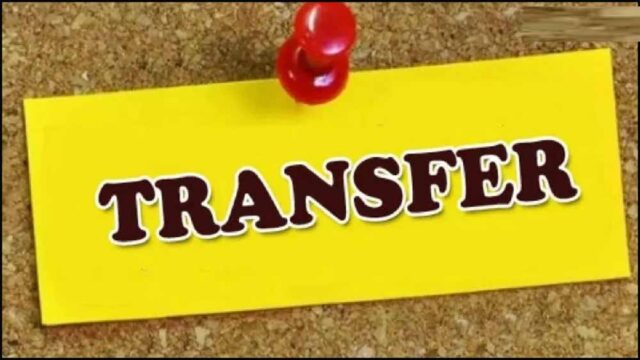 transfar-4.jpg