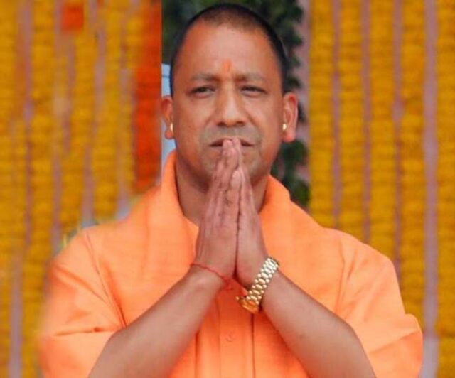 yogi-16.jpg