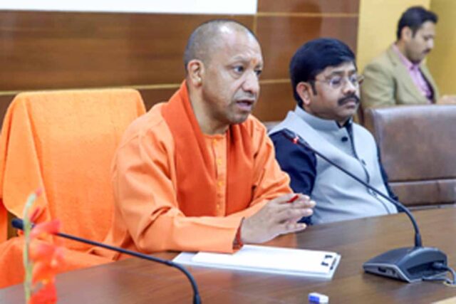 yogi.jpg