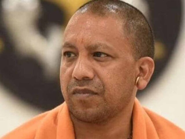 yogi-11.jpg