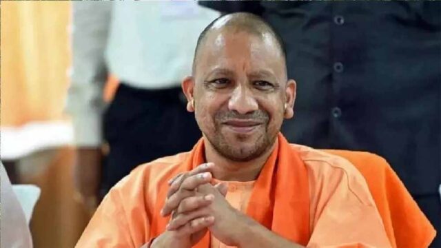 yogi-6.jpg