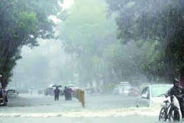 barish01.jpg