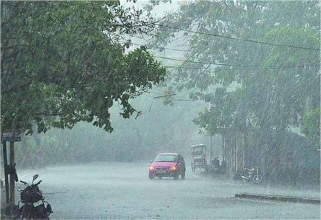barish1-11.jpg