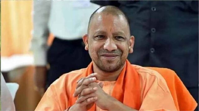 yogi-1.jpg