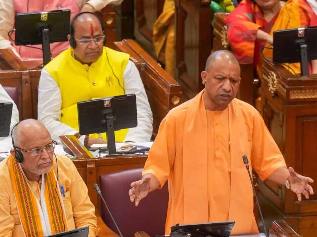 yogi-7.jpg