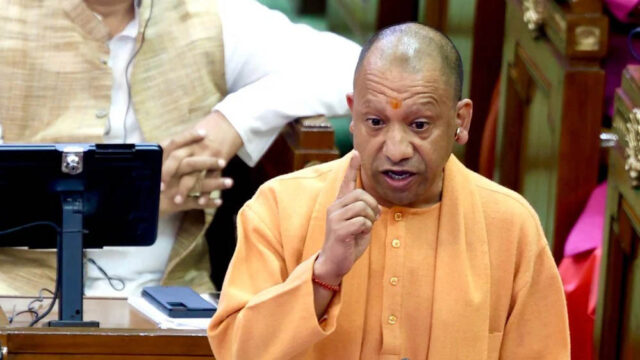 yogi_3A_111_1-4.jpg