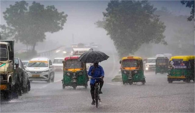 barish-10.jpg