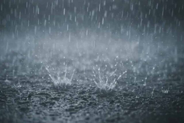 barish1-8.jpg