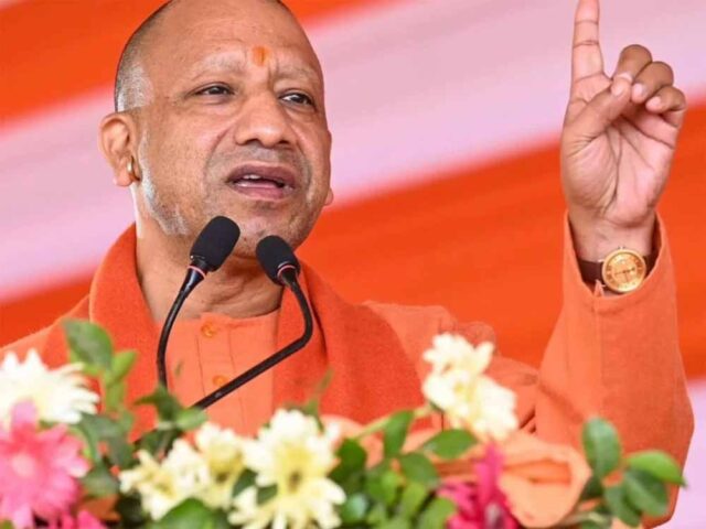 yogi-18.jpg