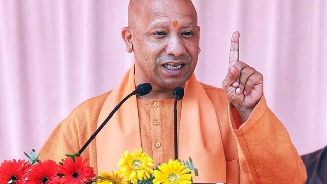 yogi12.jpg