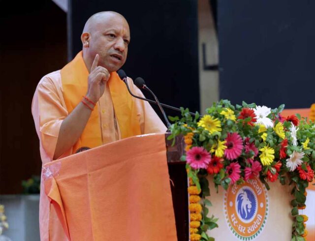 yogi3-14.jpg