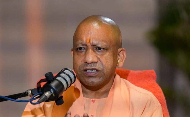yogi9-2.jpg
