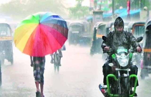 barish1-6.jpg