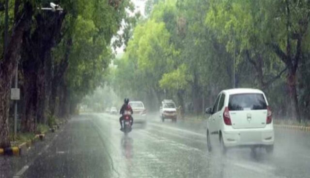 barish8-4.jpg