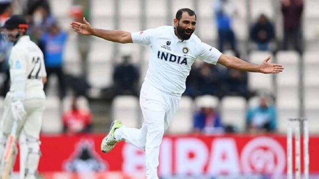 shami.jpg