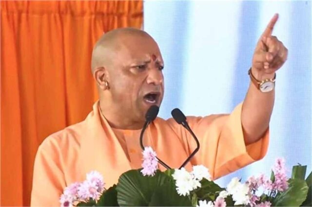 yogi-22.jpg