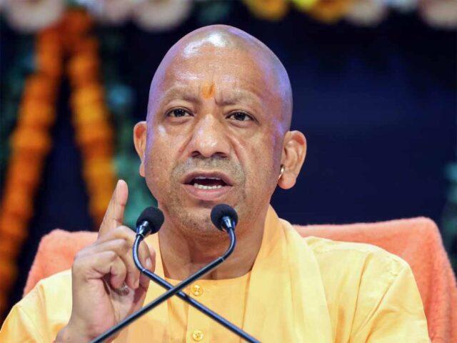 yogi.jpg