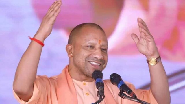 yogi3-2.jpg