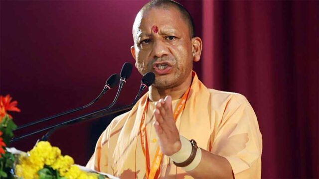 yogi3-3.jpg
