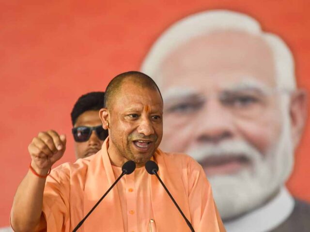 yogi6-1.jpg