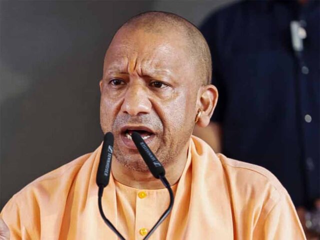 yogi6.jpg