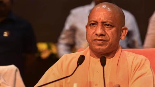 yogi_100.jpg