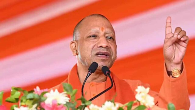 CM_Yogi_03-5.jpg