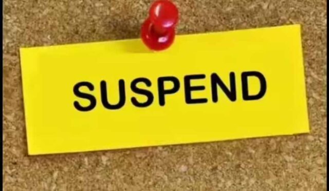 suspen-1.jpg