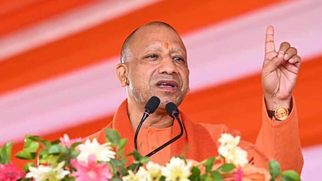 yogi-11.jpg