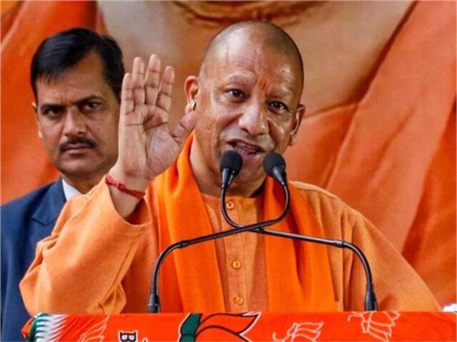 yogi-12.jpg