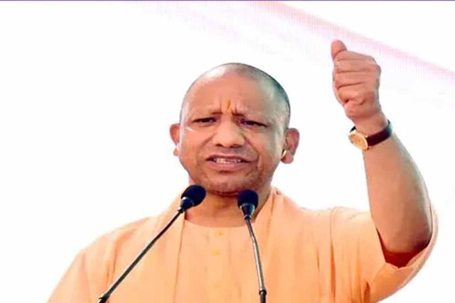 yogi3-1.jpg
