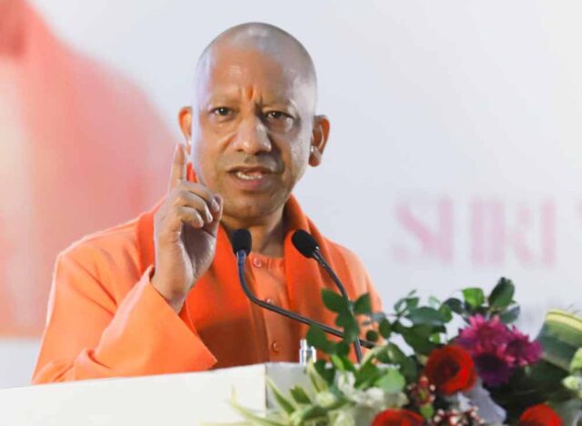 yogi3-7.jpg