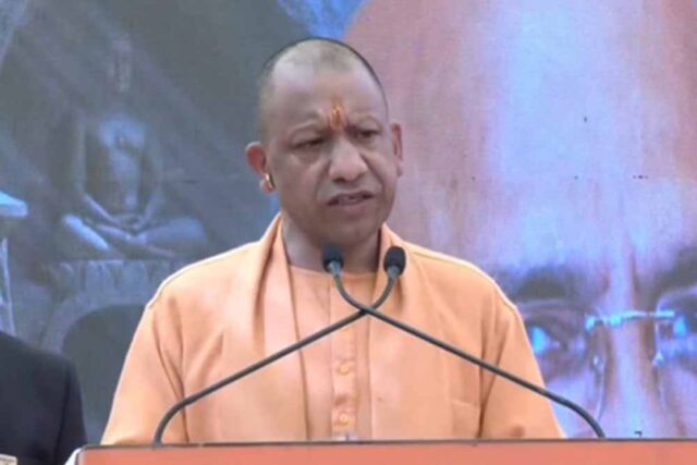yogi3-9.jpg