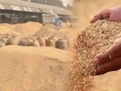 अब तक 22.25 लाख मीट्रिक टन धान की हो चुकी है खरीदी